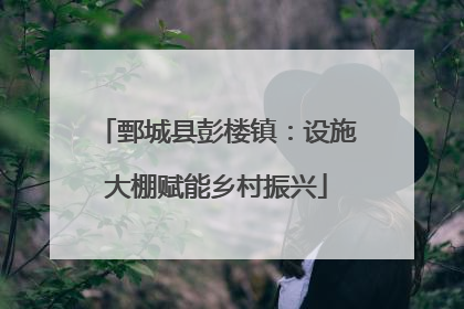 鄄城县彭楼镇：设施大棚赋能乡村振兴
