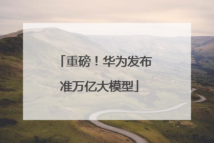 重磅！华为发布准万亿大模型