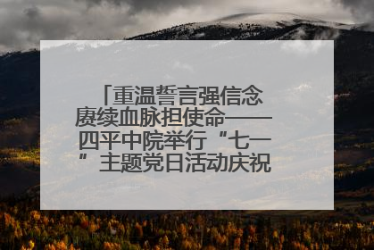 重温誓言强信念 赓续血脉担使命——四平中院举行“七一”主题党日活动庆祝建党104周年