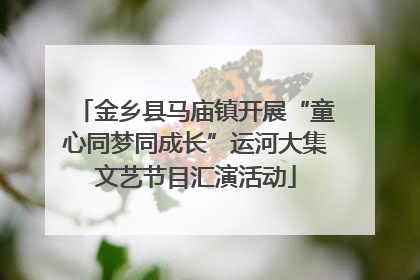 金乡县马庙镇开展“童心同梦同成长”运河大集文艺节目汇演活动