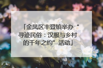 金凤区丰登镇举办“寻迹民俗：汉服与乡村的千年之约”活动