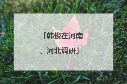 韩俊在河南、河北调研