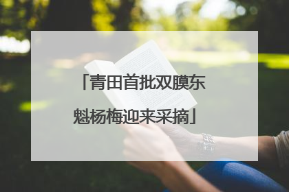 青田首批双膜东魁杨梅迎来采摘