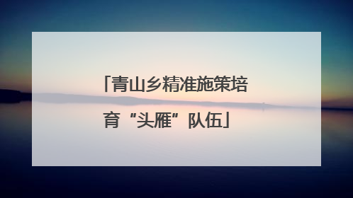 青山乡精准施策培育“头雁”队伍