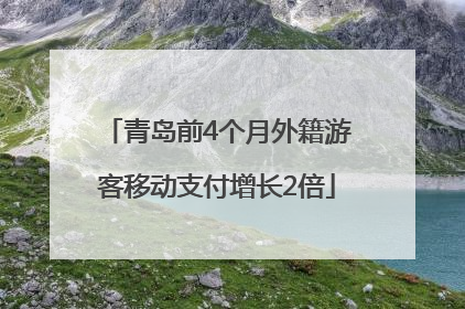 青岛前4个月外籍游客移动支付增长2倍