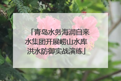 青岛水务海润自来水集团开展崂山水库洪水防御实战演练