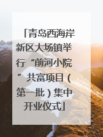 青岛西海岸新区大场镇举行“前河小院”共富项目（第一批）集中开业仪式