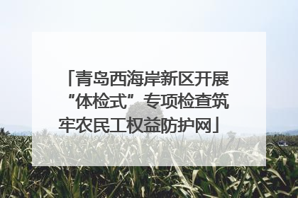 青岛西海岸新区开展“体检式”专项检查筑牢农民工权益防护网