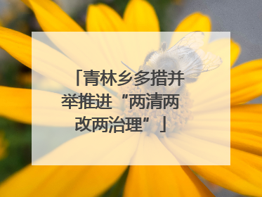 青林乡多措并举推进“两清两改两治理”