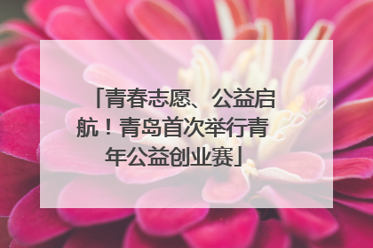 青春志愿、公益启航！青岛首次举行青年公益创业赛