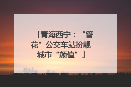 青海西宁：“簪花”公交车站扮靓城市“颜值”