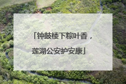 钟鼓楼下粽叶香，莲湖公安护安康