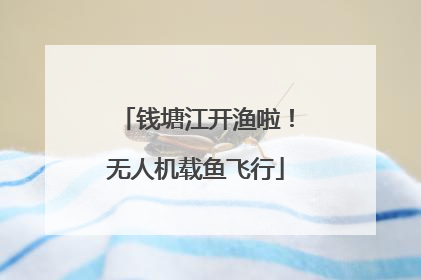 钱塘江开渔啦！无人机载鱼飞行