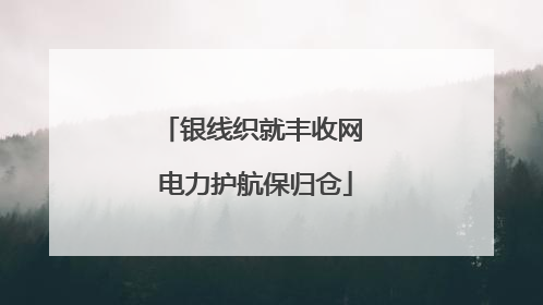银线织就丰收网 电力护航保归仓