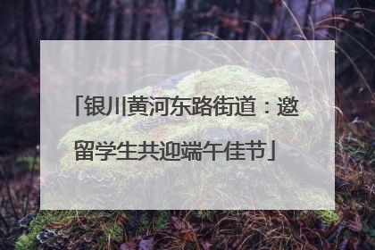 银川黄河东路街道：邀留学生共迎端午佳节