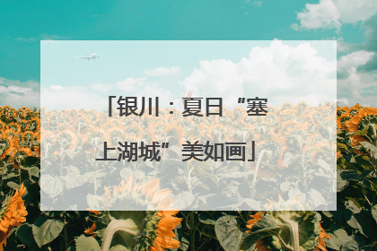 银川：夏日“塞上湖城”美如画