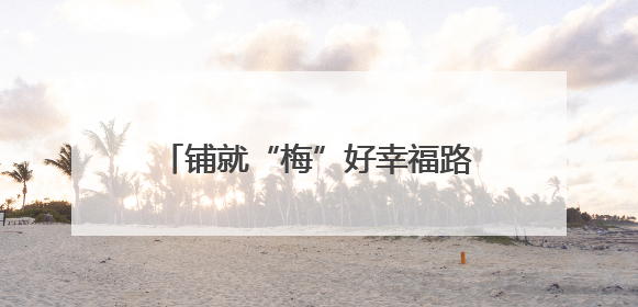 铺就“梅”好幸福路 共绘乡村致富图
