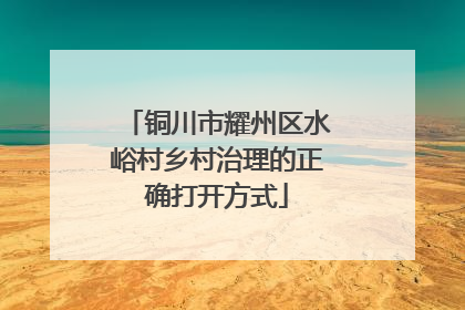铜川市耀州区水峪村乡村治理的正确打开方式