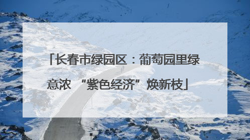 长春市绿园区：葡萄园里绿意浓 “紫色经济”焕新枝
