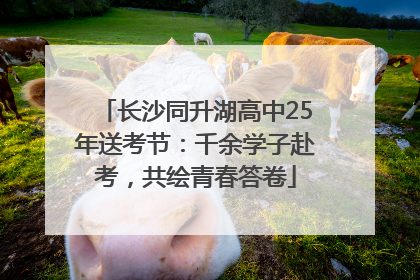 长沙同升湖高中25年送考节：千余学子赴考，共绘青春答卷