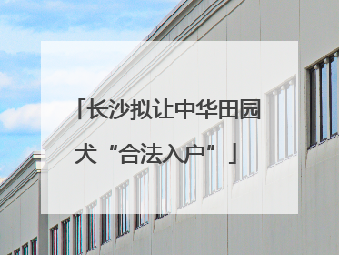 长沙拟让中华田园犬“合法入户”