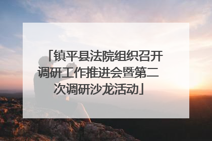 镇平县法院组织召开调研工作推进会暨第二次调研沙龙活动