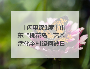 闪电深1度｜山东“桃花岛”艺术活化乡村缘何被日本友人推介？