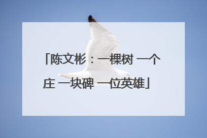 陈文彬：一棵树 一个庄 一块碑 一位英雄