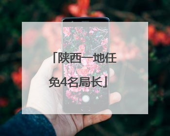 陕西一地任免4名局长