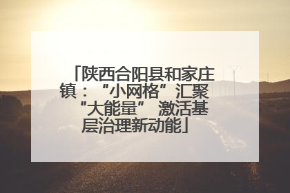 陕西合阳县和家庄镇：“小网格”汇聚“大能量” 激活基层治理新动能