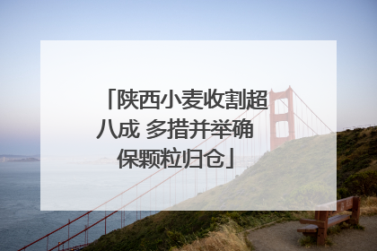 陕西小麦收割超八成 多措并举确保颗粒归仓