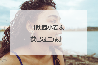 陕西小麦收获已过三成