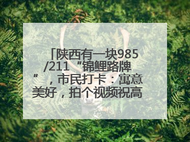 陕西有一块985/211“锦鲤路牌”，市民打卡：寓意美好，拍个视频祝高考生金榜题名