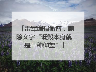 雷军编辑微博，删除文字“诋毁本身就是一种仰望”