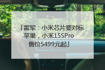 雷军：小米芯片要对标苹果，小米15SPro售价5499元起