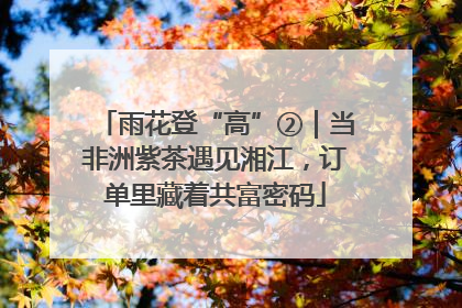 雨花登“高”②｜当非洲紫茶遇见湘江，订单里藏着共富密码