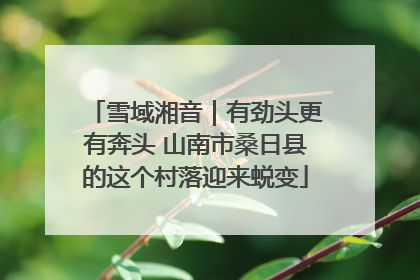 雪域湘音｜有劲头更有奔头 山南市桑日县的这个村落迎来蜕变