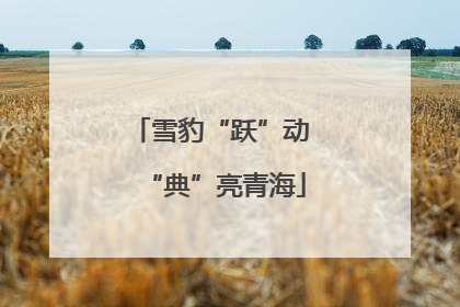 雪豹“跃”动 “典”亮青海