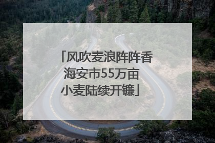 风吹麦浪阵阵香 海安市55万亩小麦陆续开镰