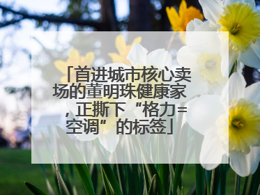 首进城市核心卖场的董明珠健康家，正撕下“格力=空调”的标签