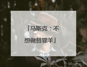 马斯克：不想做替罪羊