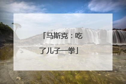 马斯克：吃了儿子一拳
