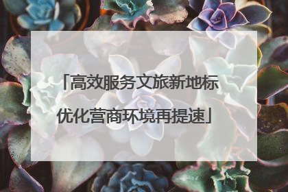 高效服务文旅新地标 优化营商环境再提速