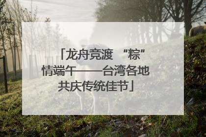 龙舟竞渡 “粽”情端午——台湾各地共庆传统佳节