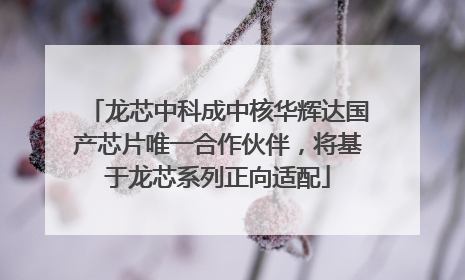 龙芯中科成中核华辉达国产芯片唯一合作伙伴，将基于龙芯系列正向适配