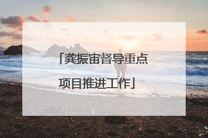 龚振宙督导重点项目推进工作