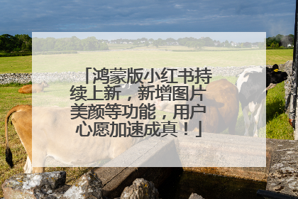 鸿蒙版小红书持续上新，新增图片美颜等功能，用户心愿加速成真！