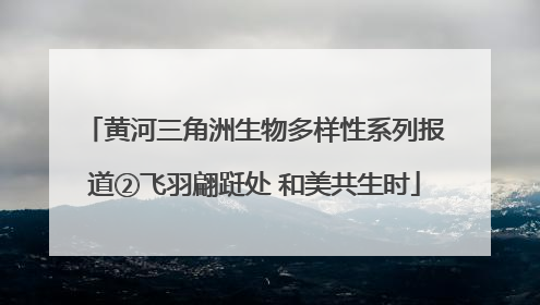 黄河三角洲生物多样性系列报道②飞羽翩跹处 和美共生时