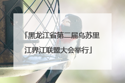 黑龙江省第二届乌苏里江界江联盟大会举行