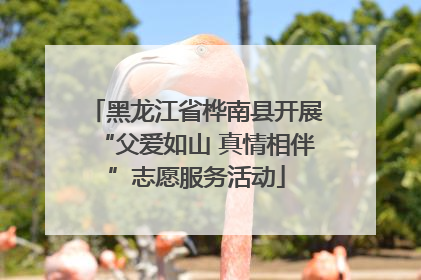 黑龙江省桦南县开展“父爱如山 真情相伴”志愿服务活动